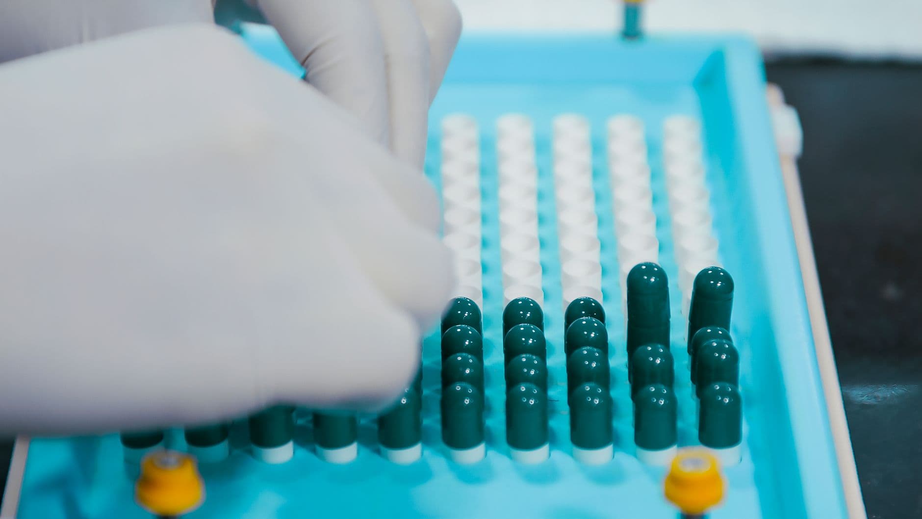 Gloved hands closing capsules on a sterile compounding tray